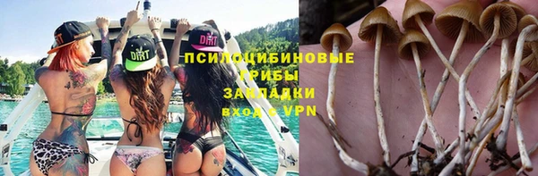 таблы Алексин