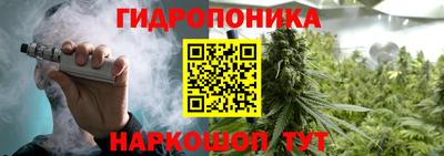 a pvp Тавда