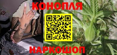 a pvp Тавда