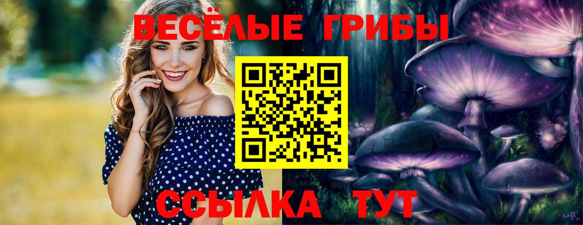 Псилоцибиновые грибы прущие грибы  Галлюциногенные грибы Magic Shrooms  Балабаново  Вход с VPN 