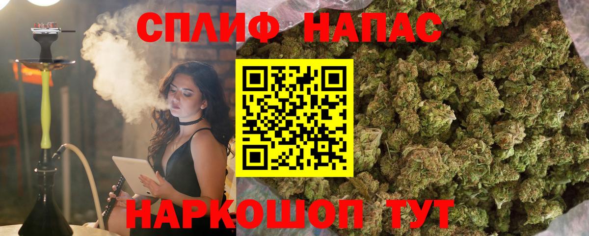 Бошки Шишки семена Балабаново